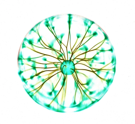 Atomic Architecture